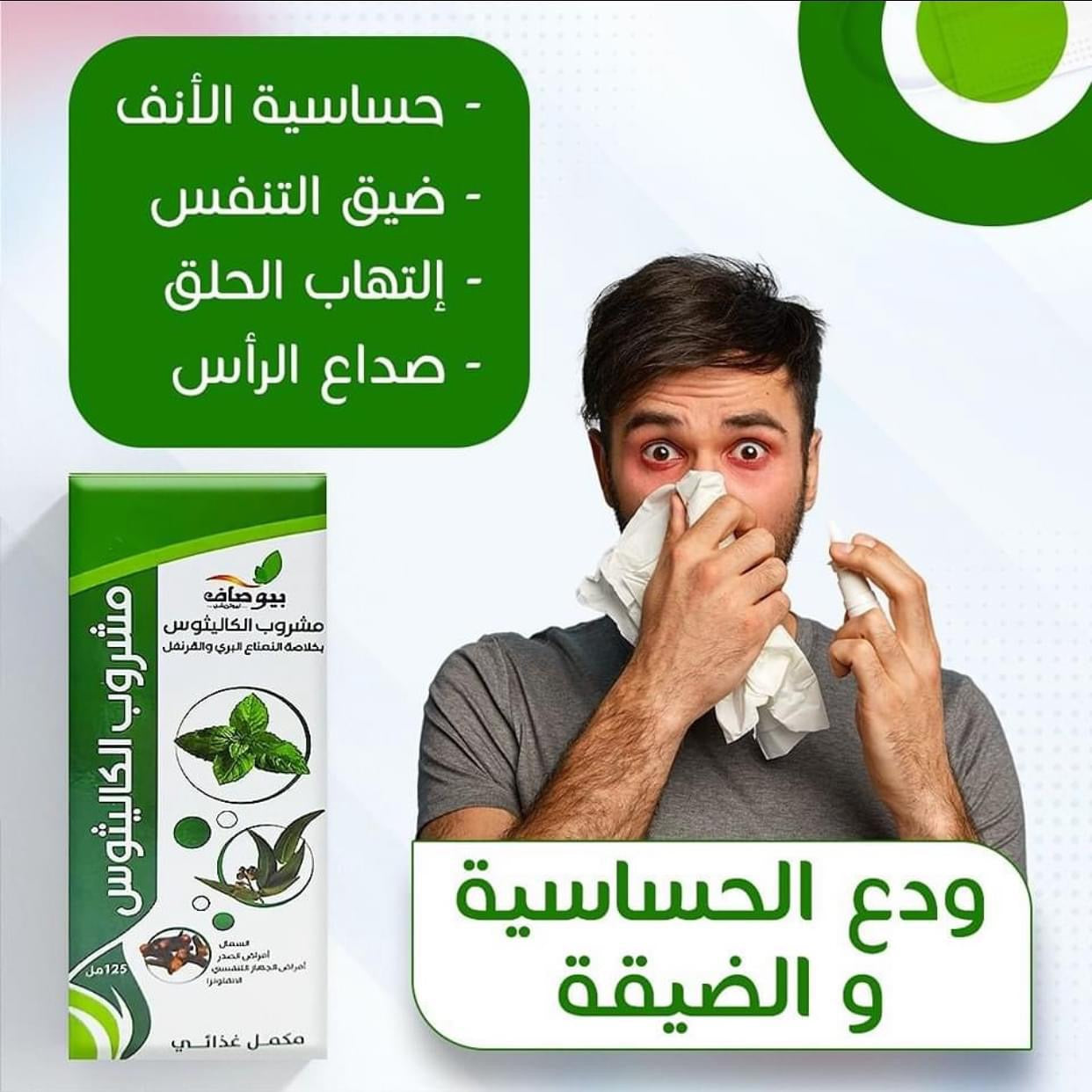 مشروب الكاليتوس لعلاج مشاكل الجهاز التنفسي